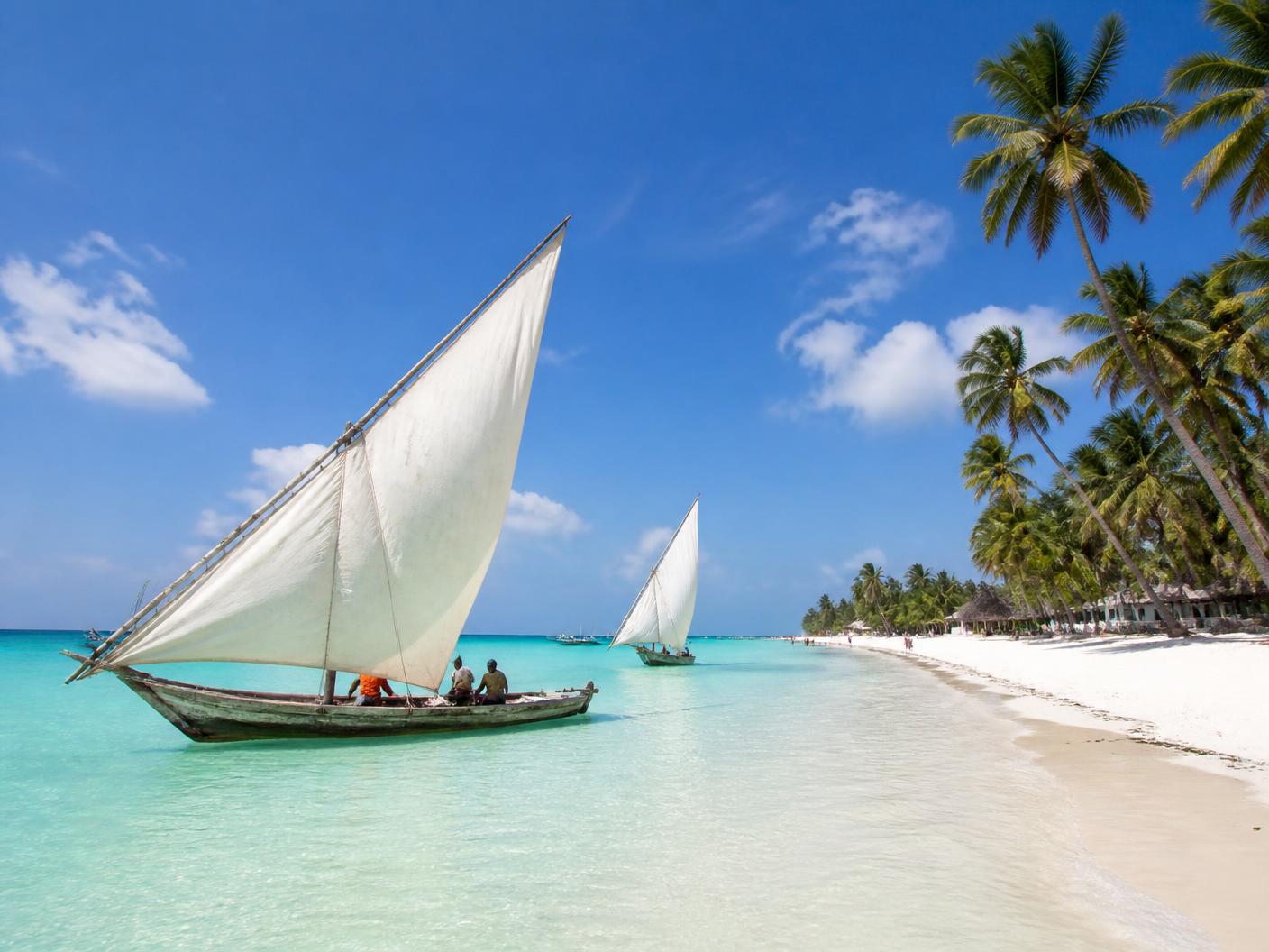 Traditional dhow sailboats on the shallow turquoise water off a white sand palm-lined beach in Zanzibar, Tanzania